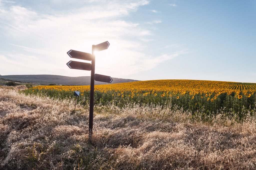 Vorbereitung Idee Entscheidung Header Main