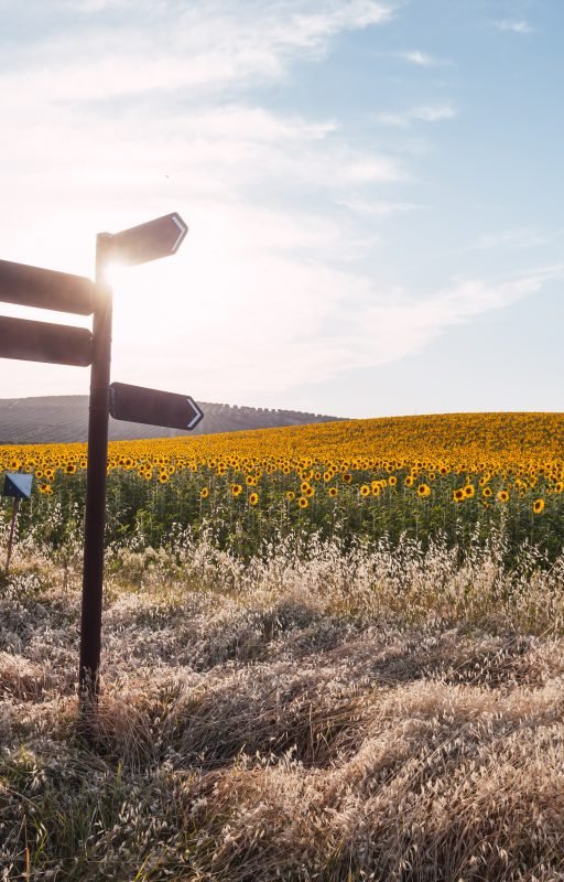 Vorbereitung Idee Entscheidung Header Main